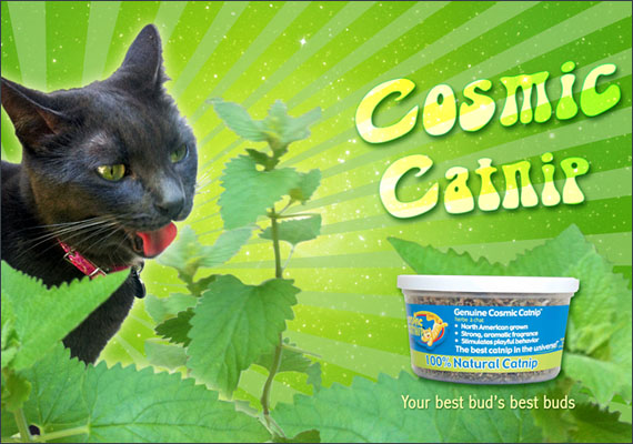 A personal project. I was inspired by a photo i took of my Cat ejoying catip on the patio, so I created a mock ad for Cosmic Catnip .  