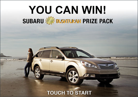 Subaru market research application allows tradeshow visitors to enter contest by leaving name and email address. I was the IU Graphic Designer on this kiosk application.